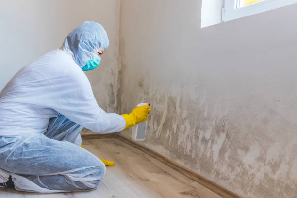 Licensed Crawl Space Mold Removal service in Wenham, MA - WQB Mold Removal