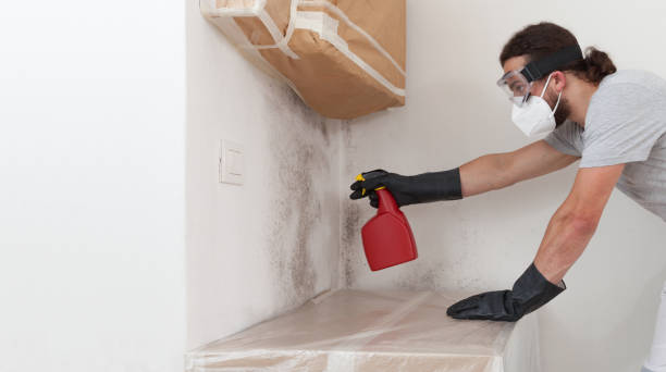 Professional Crawl Space Mold Removal technician working in Wenham, MA