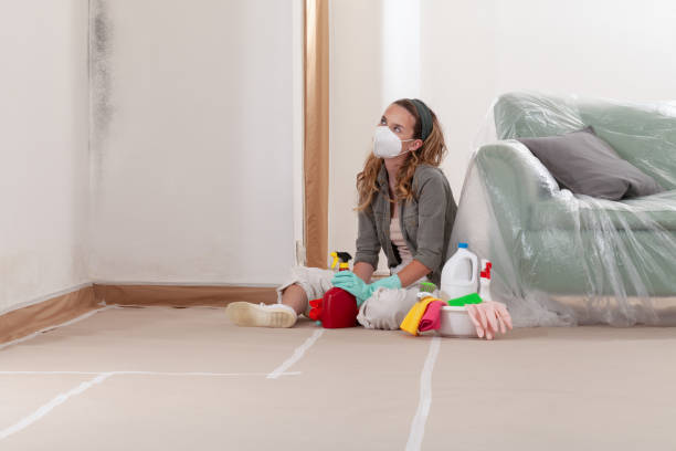Reliable Crawl Space Mold Removal contractor in Wenham, MA by WQB Mold Removal